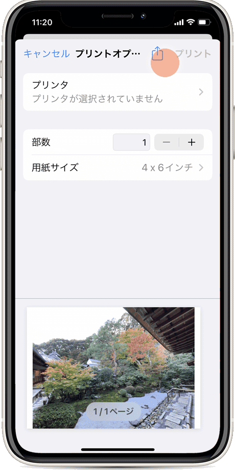 iPhoneで写真をPDFに変換（手順6）：共有アイコンをもう一度タップ