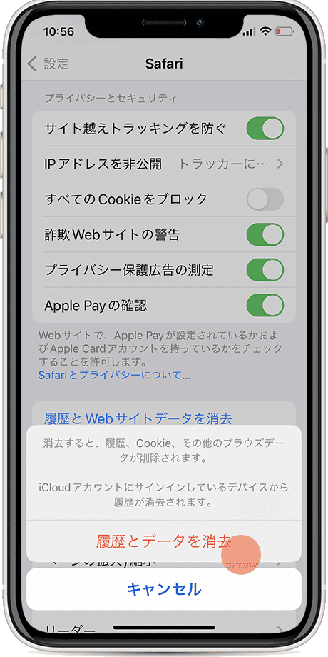 iPhone Safari キャッシュクリア すべて削除4