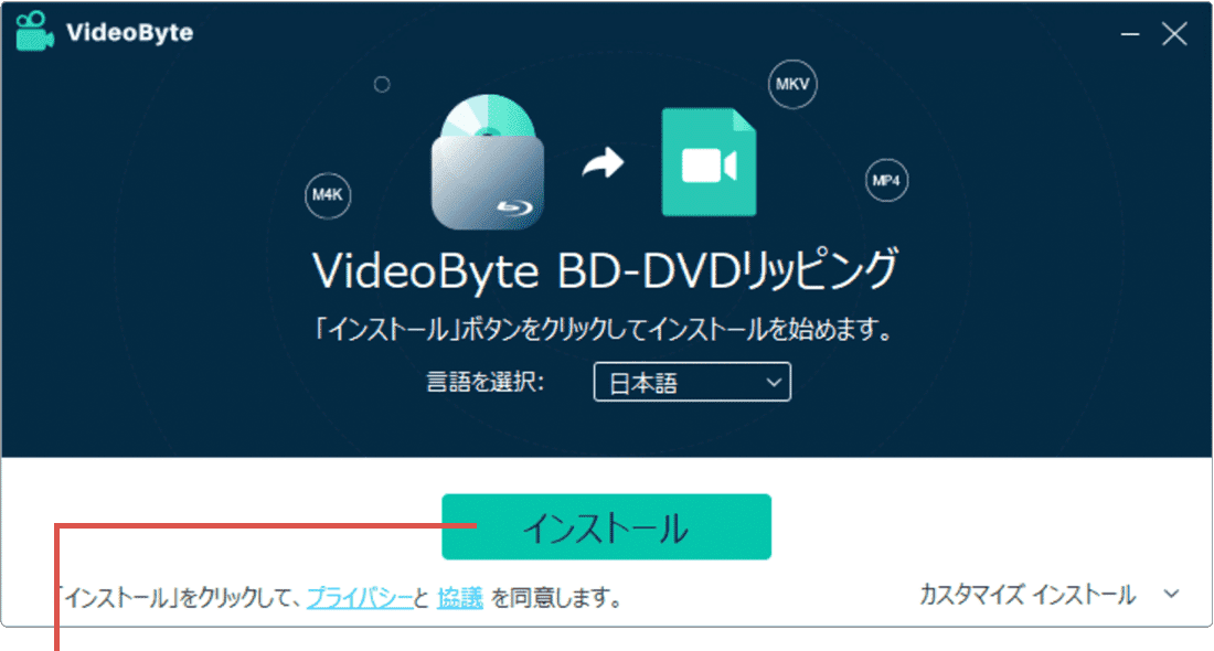 VideoByte BD-DVDリッピングのインストール画面