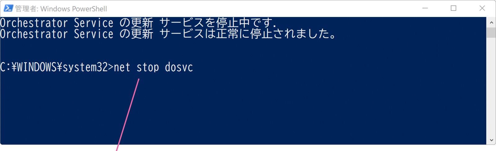 Powershellでコマンドを入力